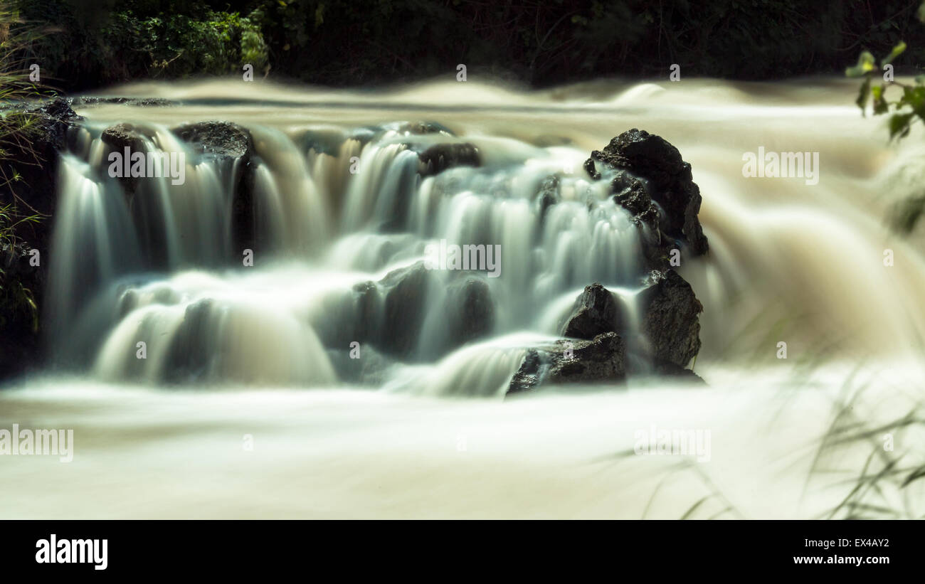 The Awash River flowing through the dense vegetation in the Rift Valley ...