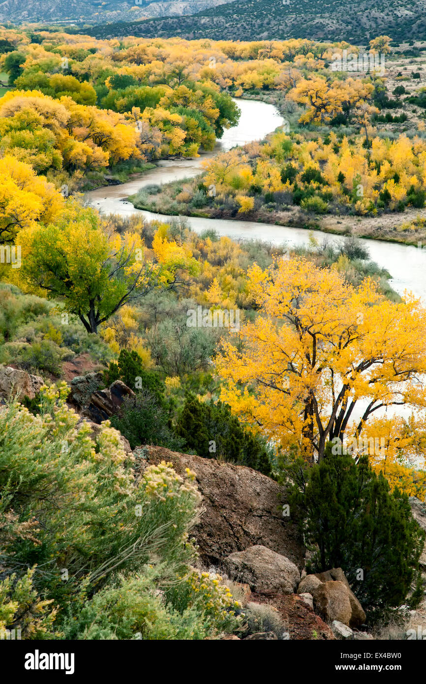 Chama River and cottonwoods in fall colors, Abiquiu, New Mexico USA Stock Photo