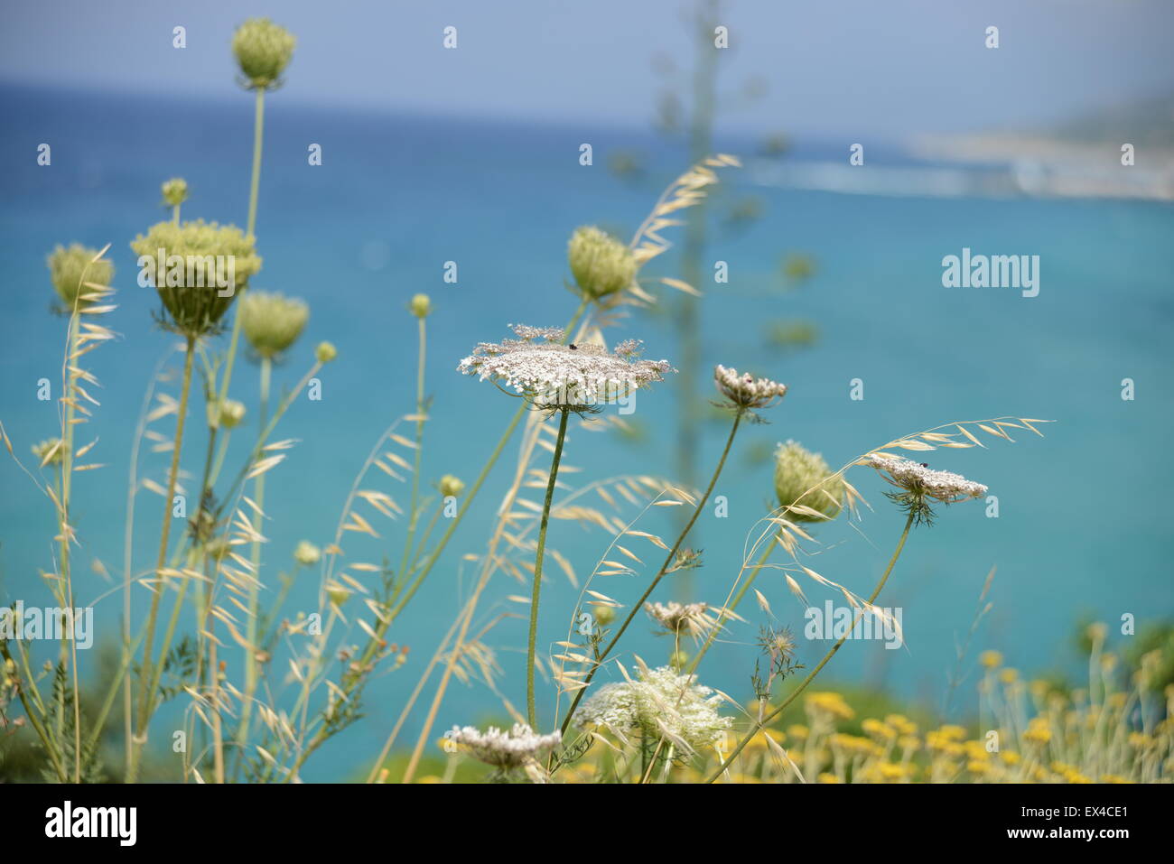 Ikari sea hires stock photography and images Alamy