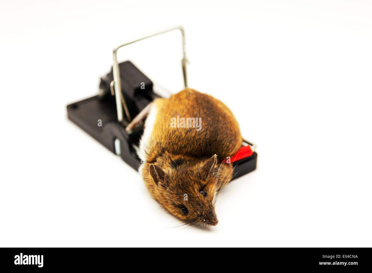 dead space pc mouse fix