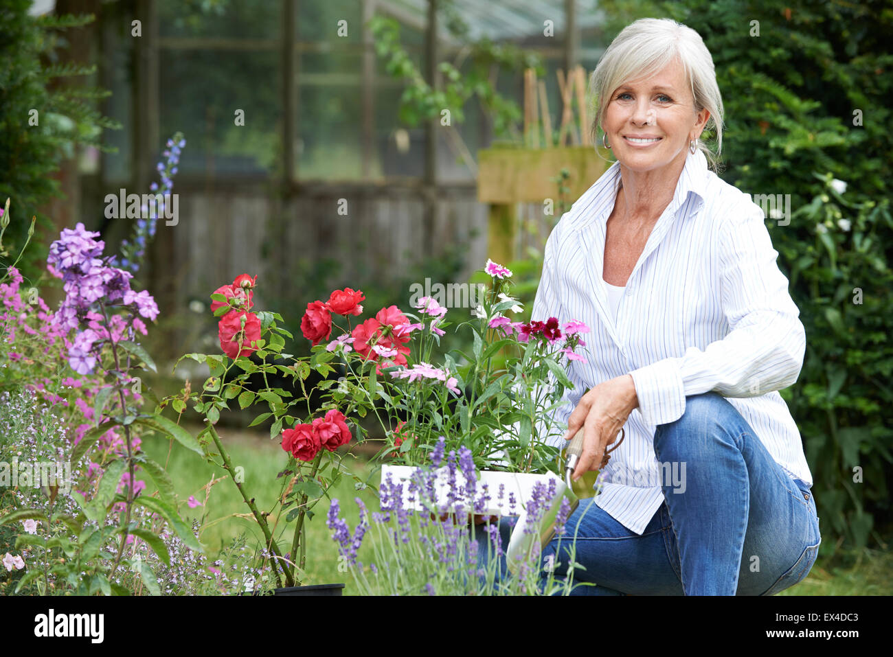 Portrait Of Mature Woman Gardening Stock Photo