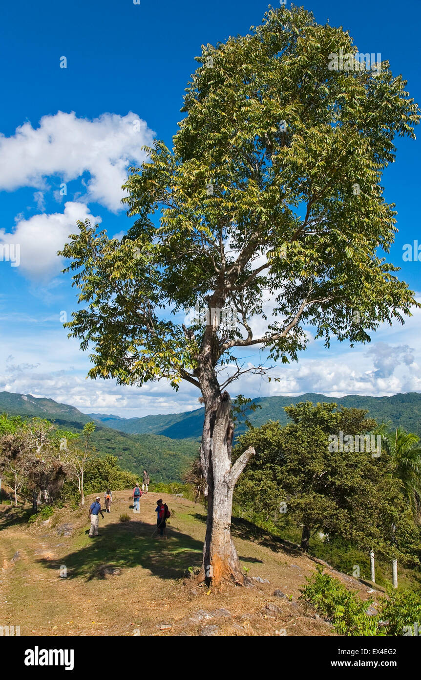 Vertical view of tourists walking through the countryside in Topes de Collantes National Park in Cuba. Stock Photo