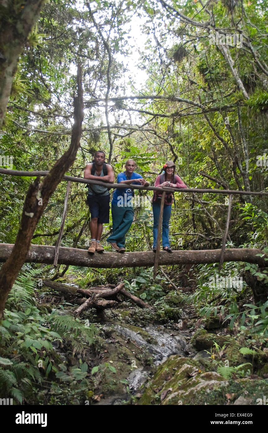 Vertical portrait of tourists walking on makeshift log bridges in Topes de Collantes National Park in Cuba. Stock Photo