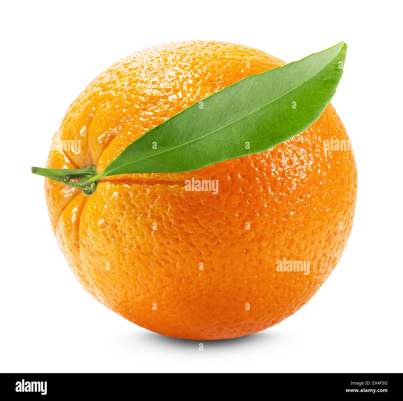 Orange leaf background hi-res stock photography and images - Alamy