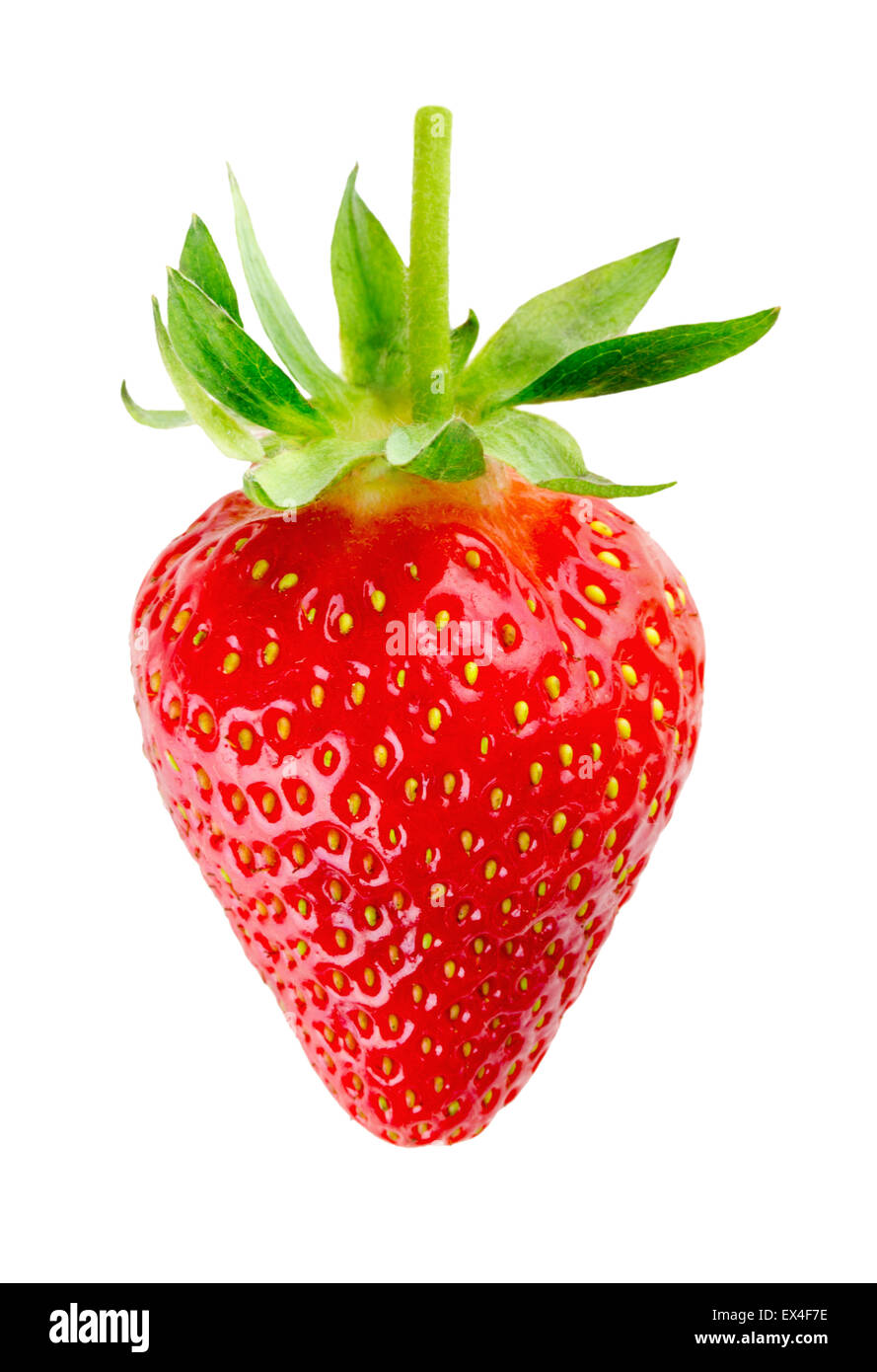 juicy ripe strawberry on the white background Stock Photo - Alamy