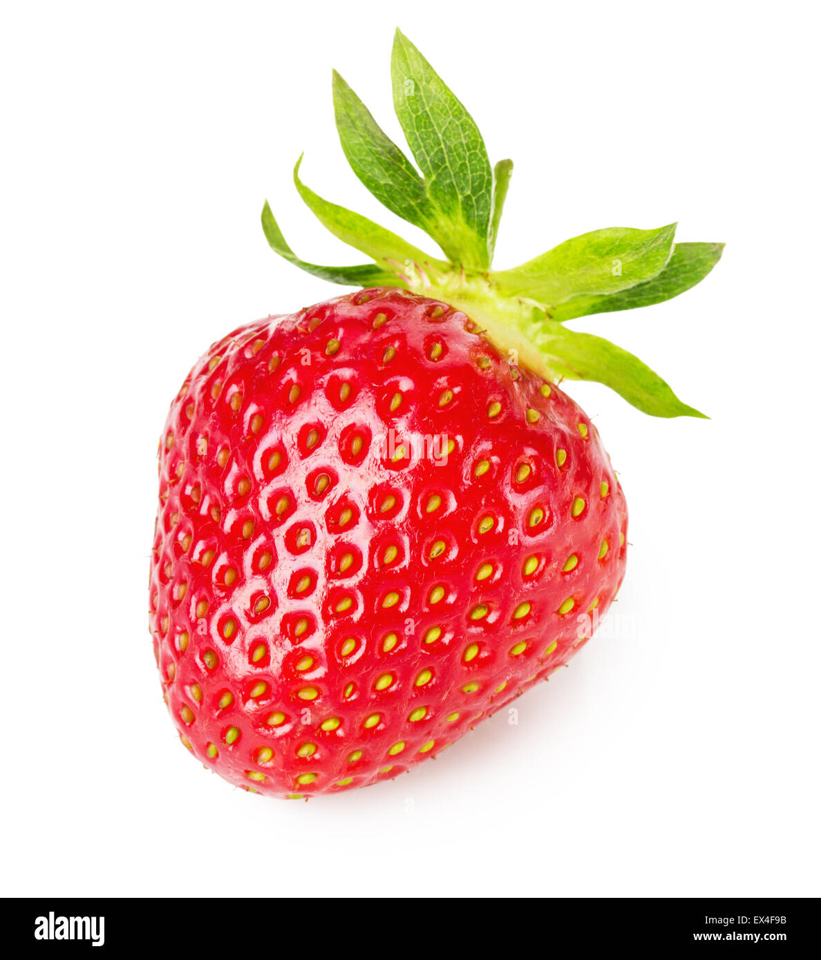 Shiny strawberry hi-res stock photography and images - Alamy