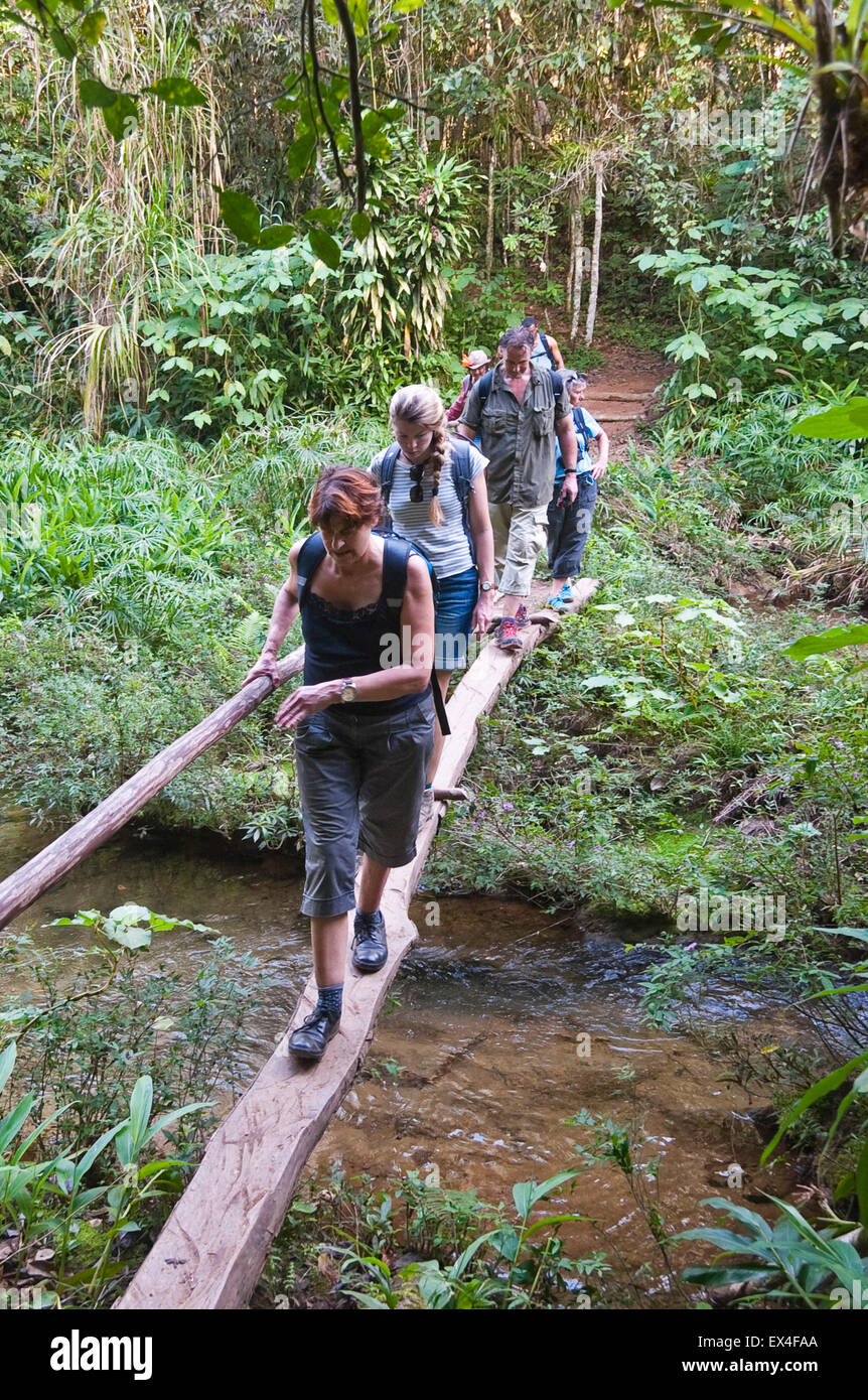 Vertical portrait of tourists walking on makeshift log bridges in Topes ...