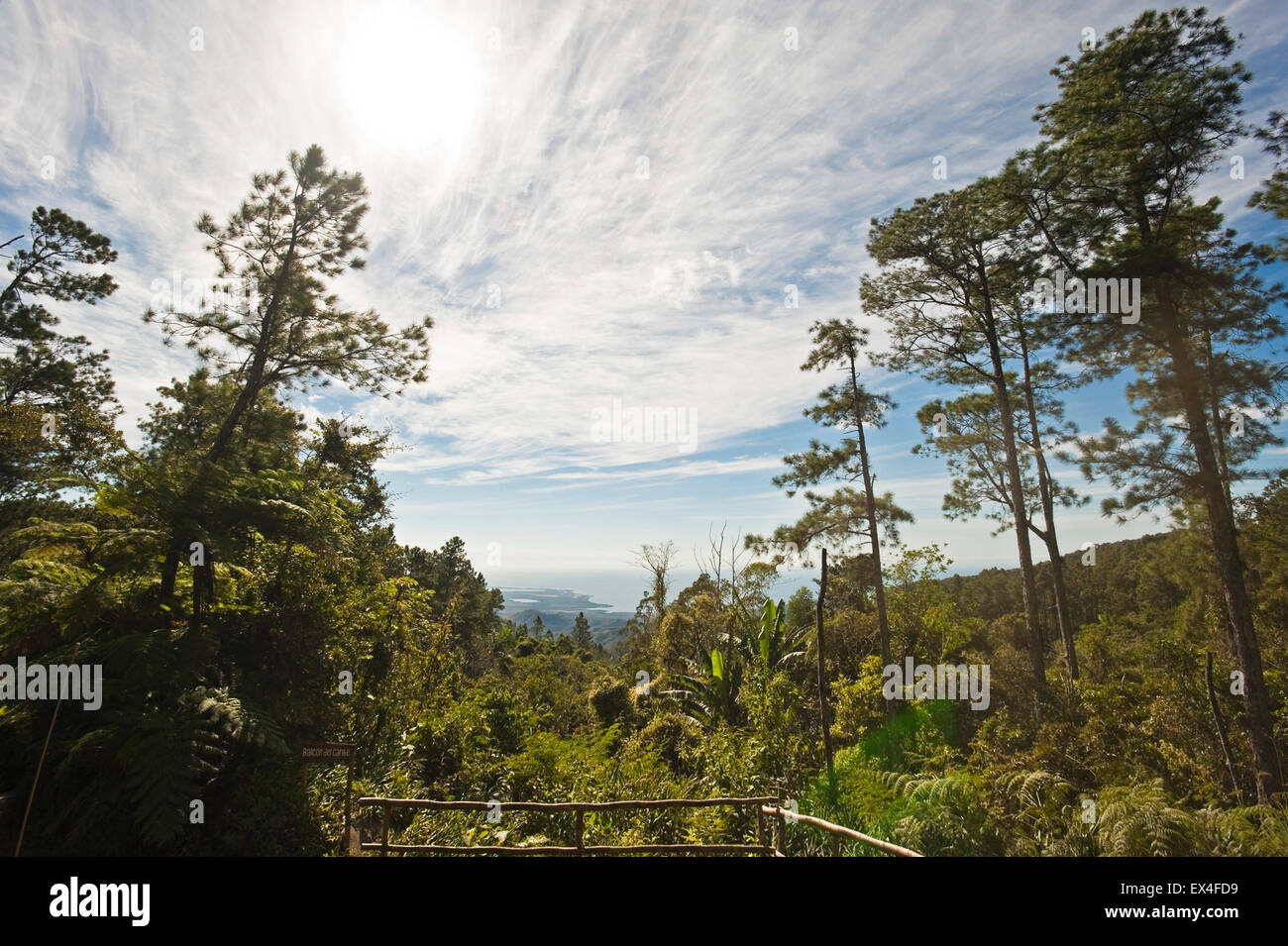 Horizontal panoramic view from a lookout in Topes de Collantes National Park in Cuba. Stock Photo