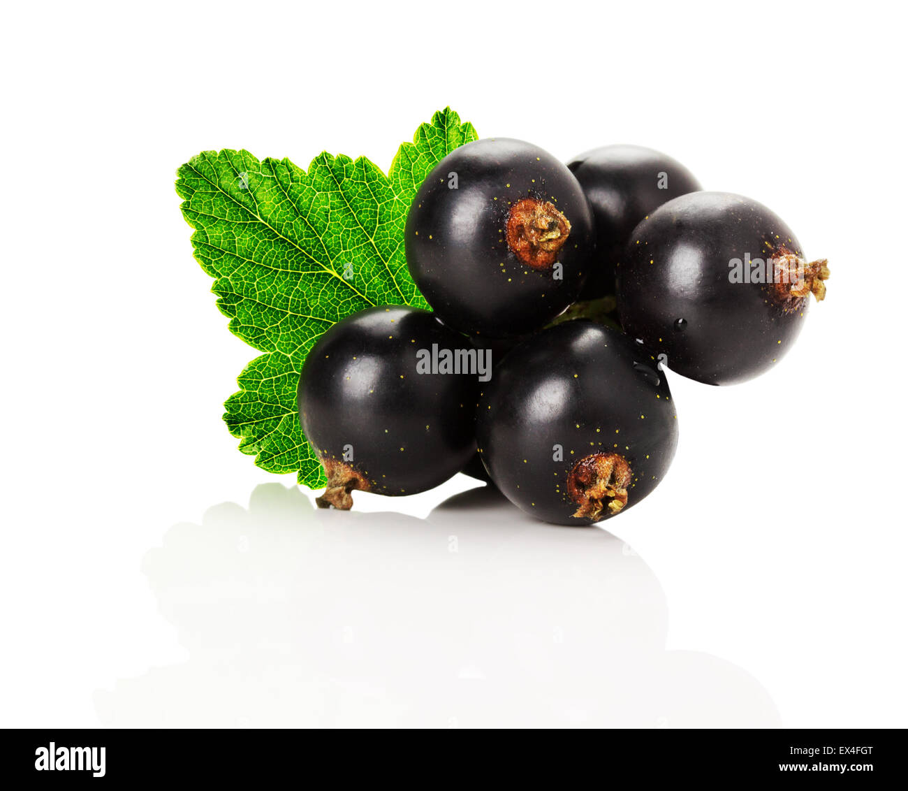 Ripe juicy berries black hi-res stock photography and images - Alamy