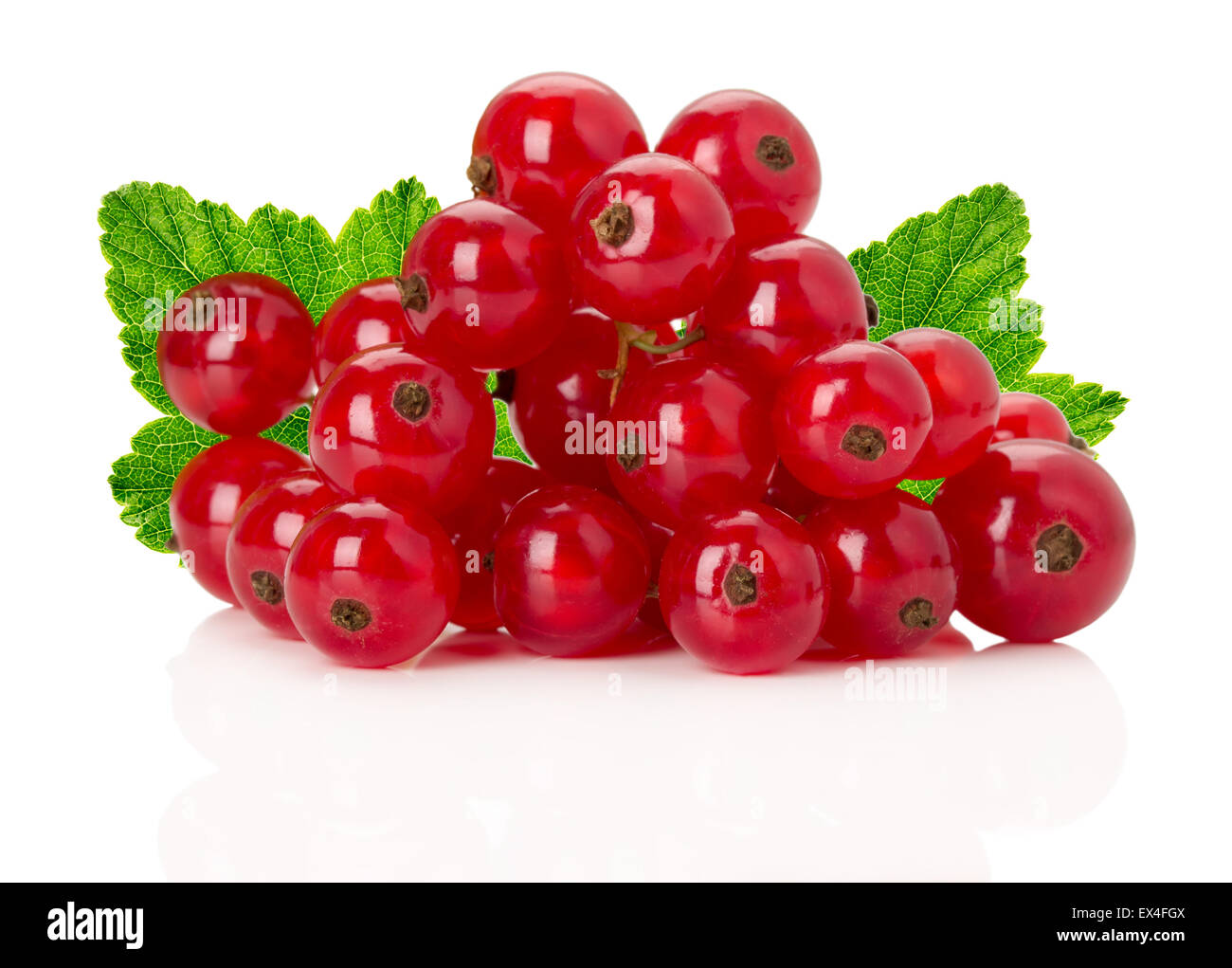 juicy ripe redcurrant on the white background. Stock Photo