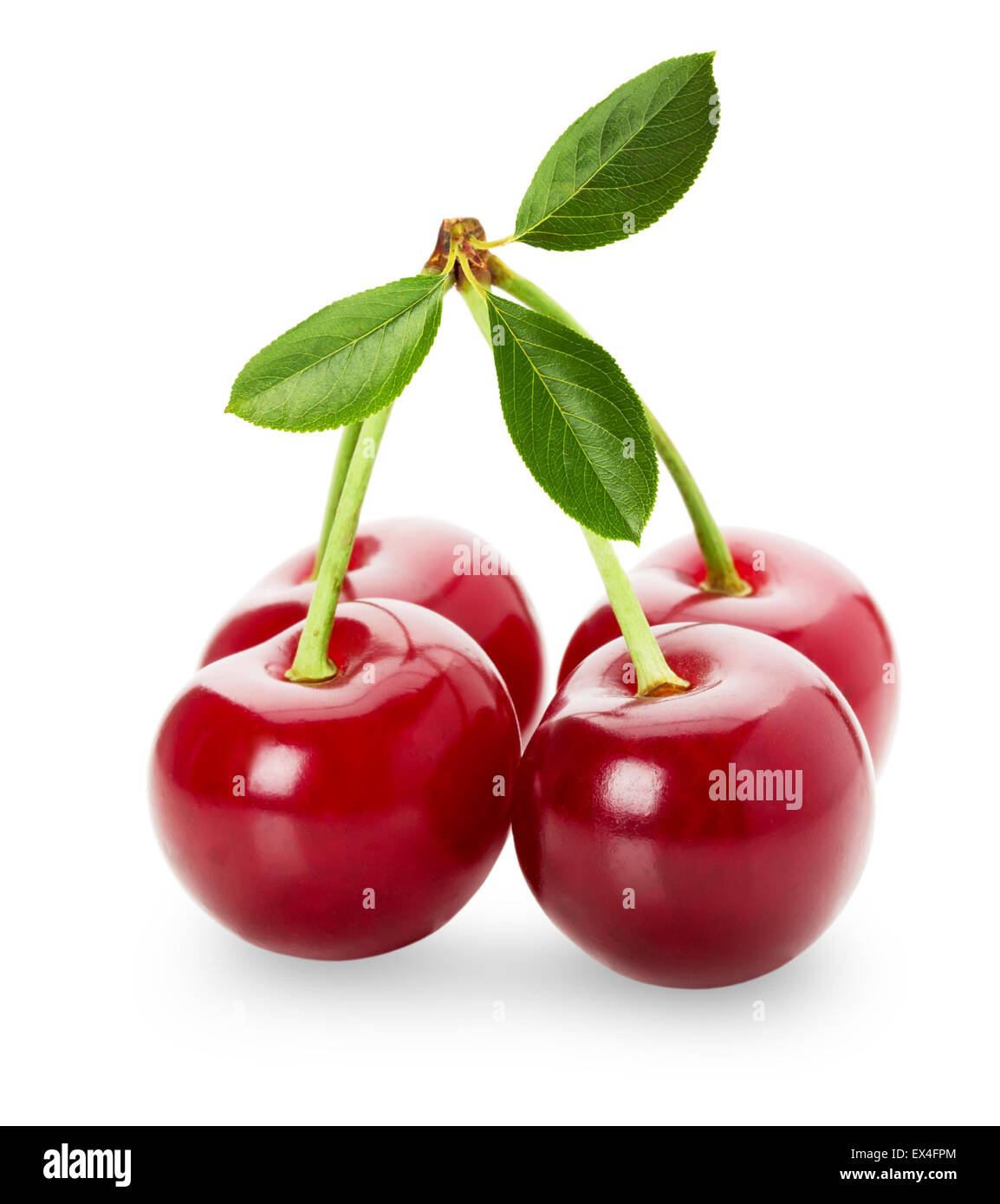 juicy cherries isolated on the white background. Stock Photo