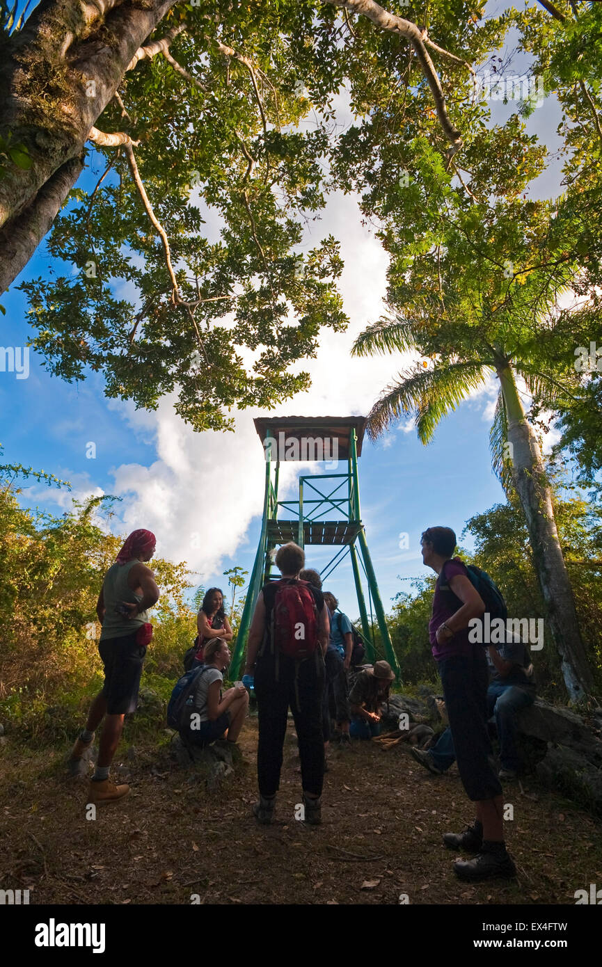 Vertical view of tourists at a lookout post in Topes de Collantes National Park in Cuba. Stock Photo