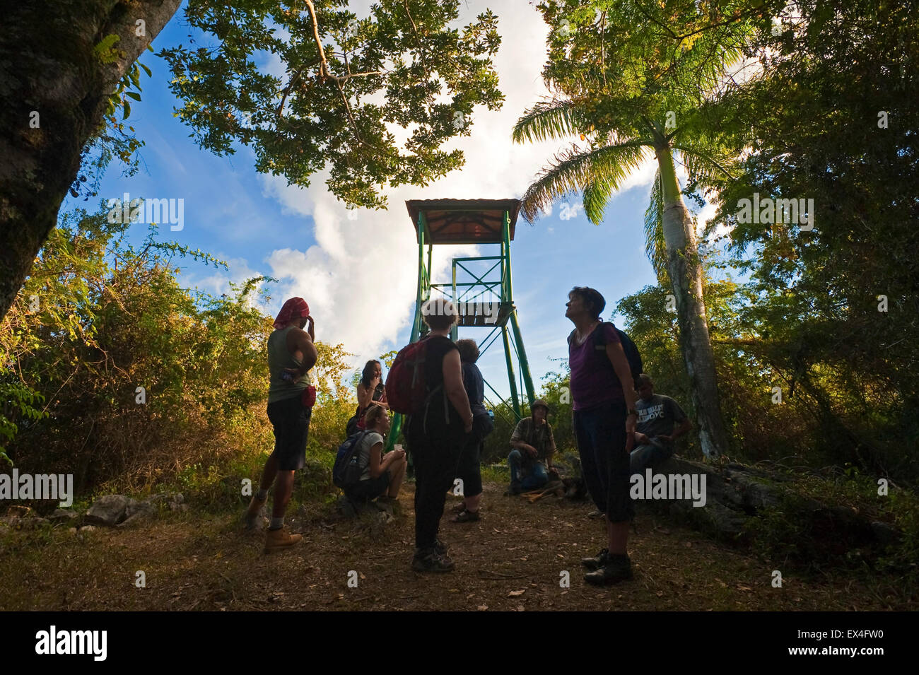 Horizontal view of tourists at a lookout post in Topes de Collantes National Park in Cuba. Stock Photo