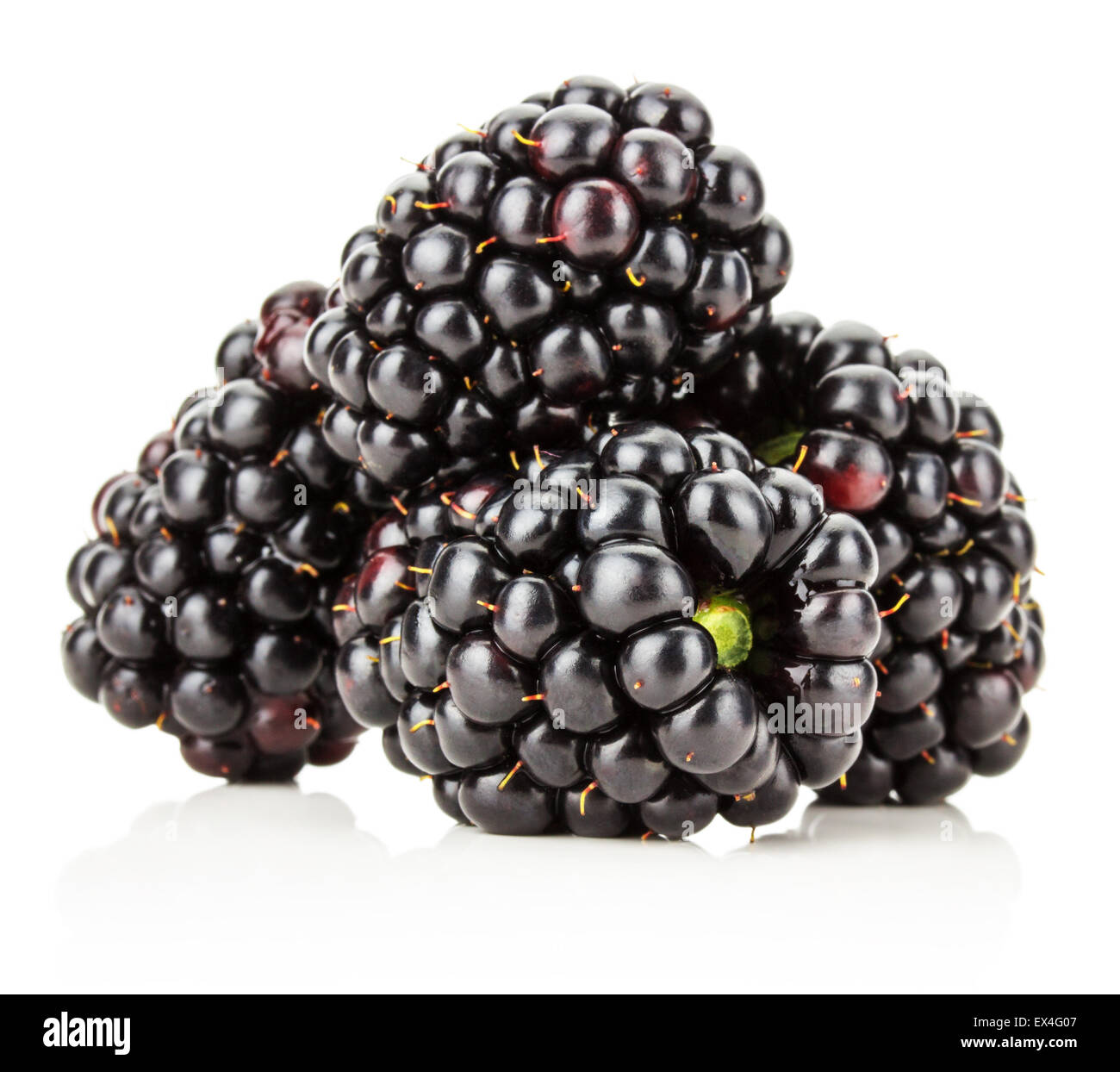 juicy bramble-berry isolated on the white background. Stock Photo