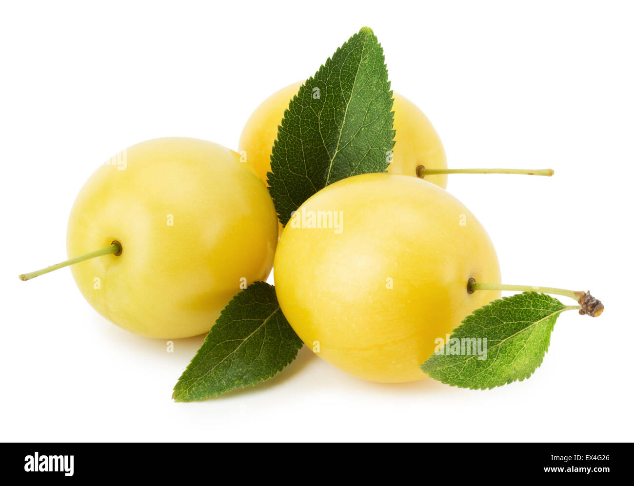 cherry plums isolated on the white background. Stock Photo