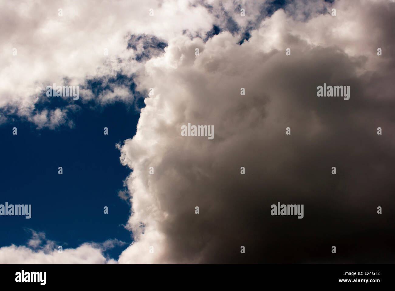 thick white cloud in the blue sky on sunny day Stock Photo - Alamy