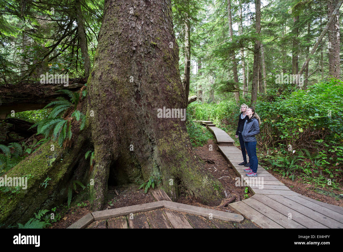 North America, Canada, British Columbia, Vancouver Island, Pacific Rim National Park Reserve, Stock Photo