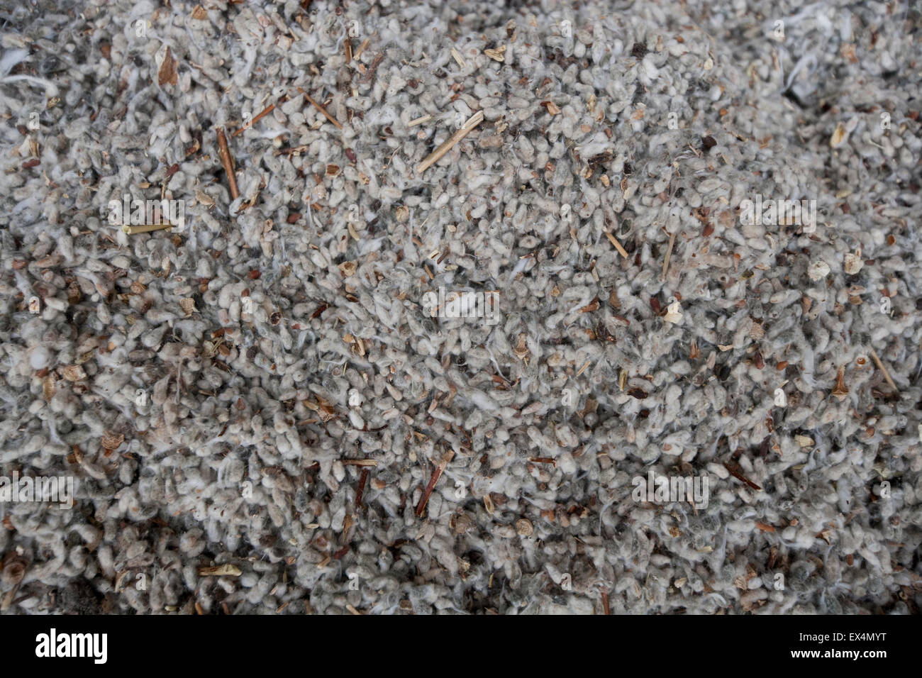Cottonseed meal used for animal feed on farm, USA Stock Photo Alamy
