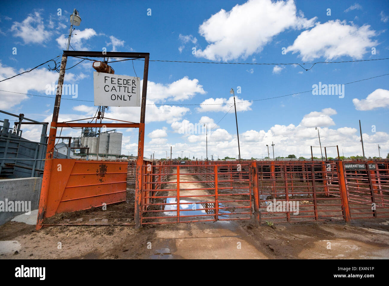Livestock sales hires stock photography and images Alamy