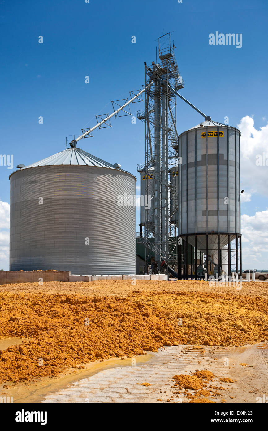 Distiller's moist grains - co-product from Ethanol production used as animal feed at a Beef Feedyard near North Platt, Nebraska, Stock Photo