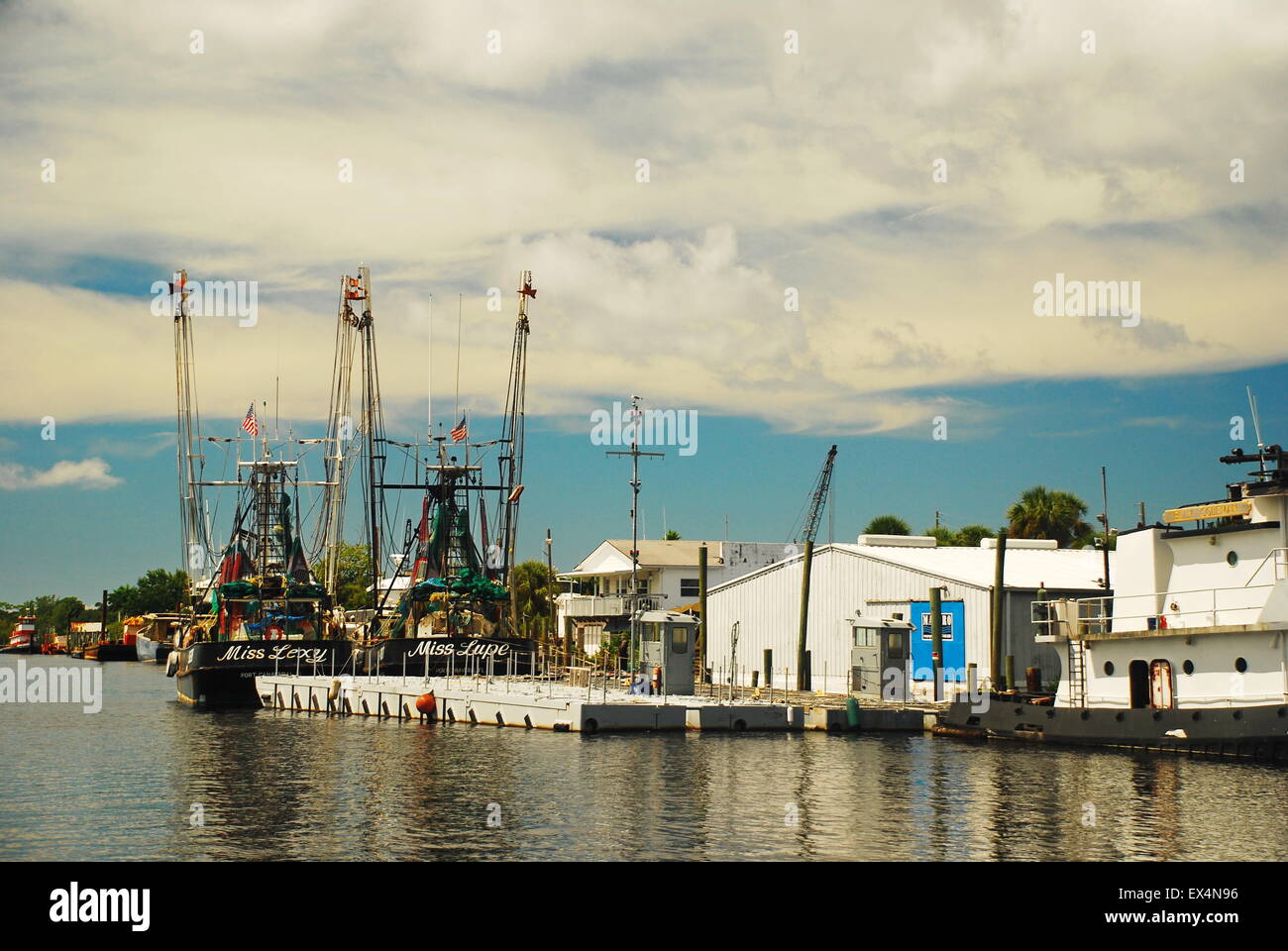 Fishing and tourists boats seen in the harbor at Tarpon Springs