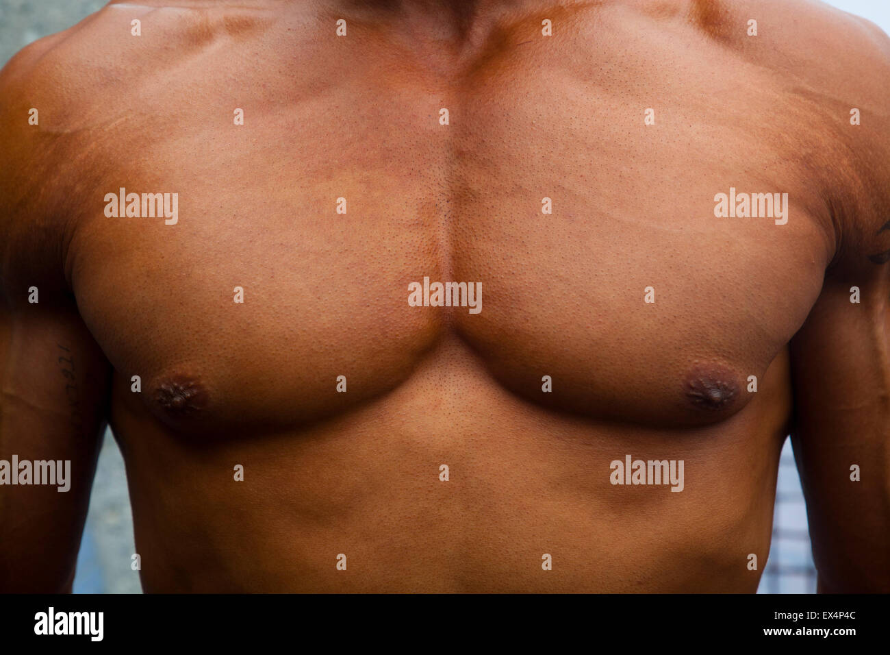 Pectoral muscle hi-res stock photography and images - Alamy