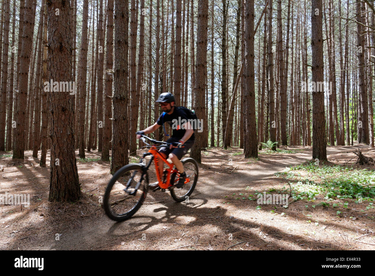 mountain bike kingdom trails