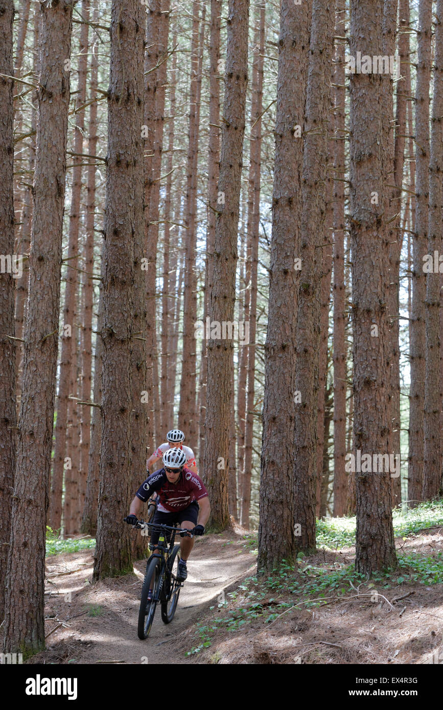 mountain bike kingdom trails
