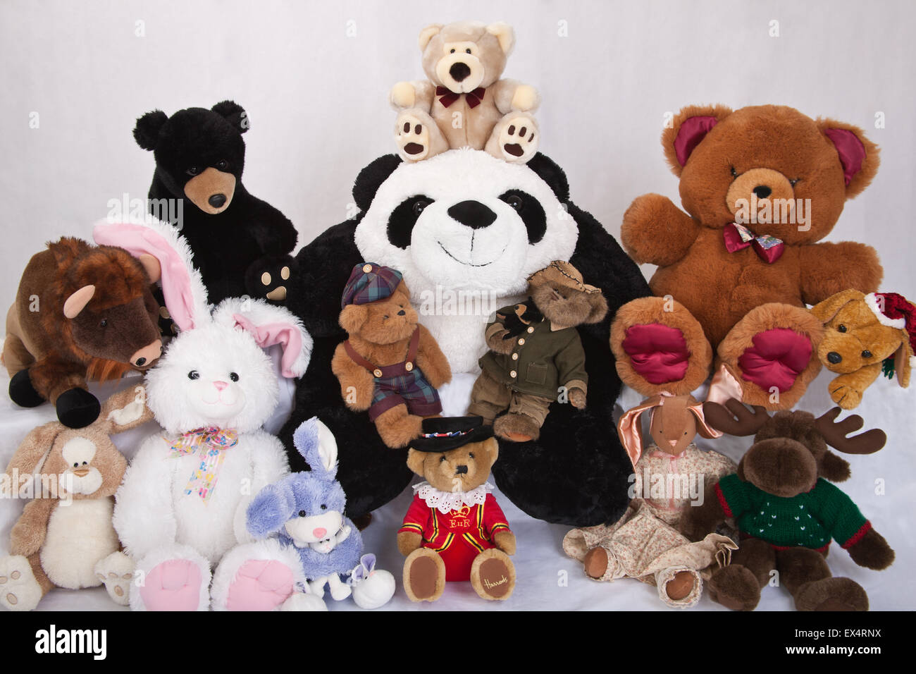 Stuffed Animal Collection