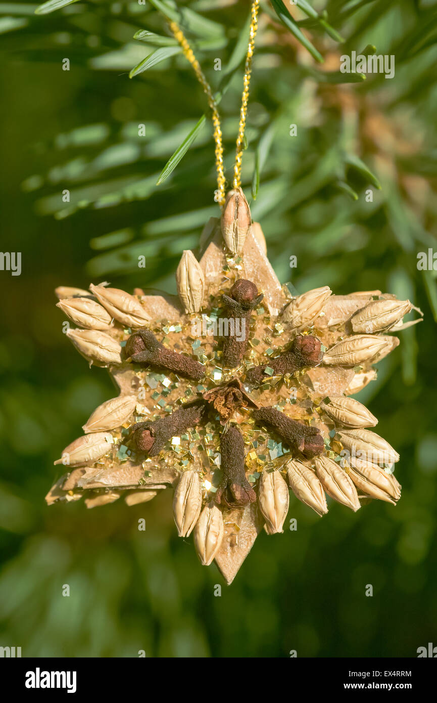 Christmas ornament made of natural seeds and spices glued to a wooden