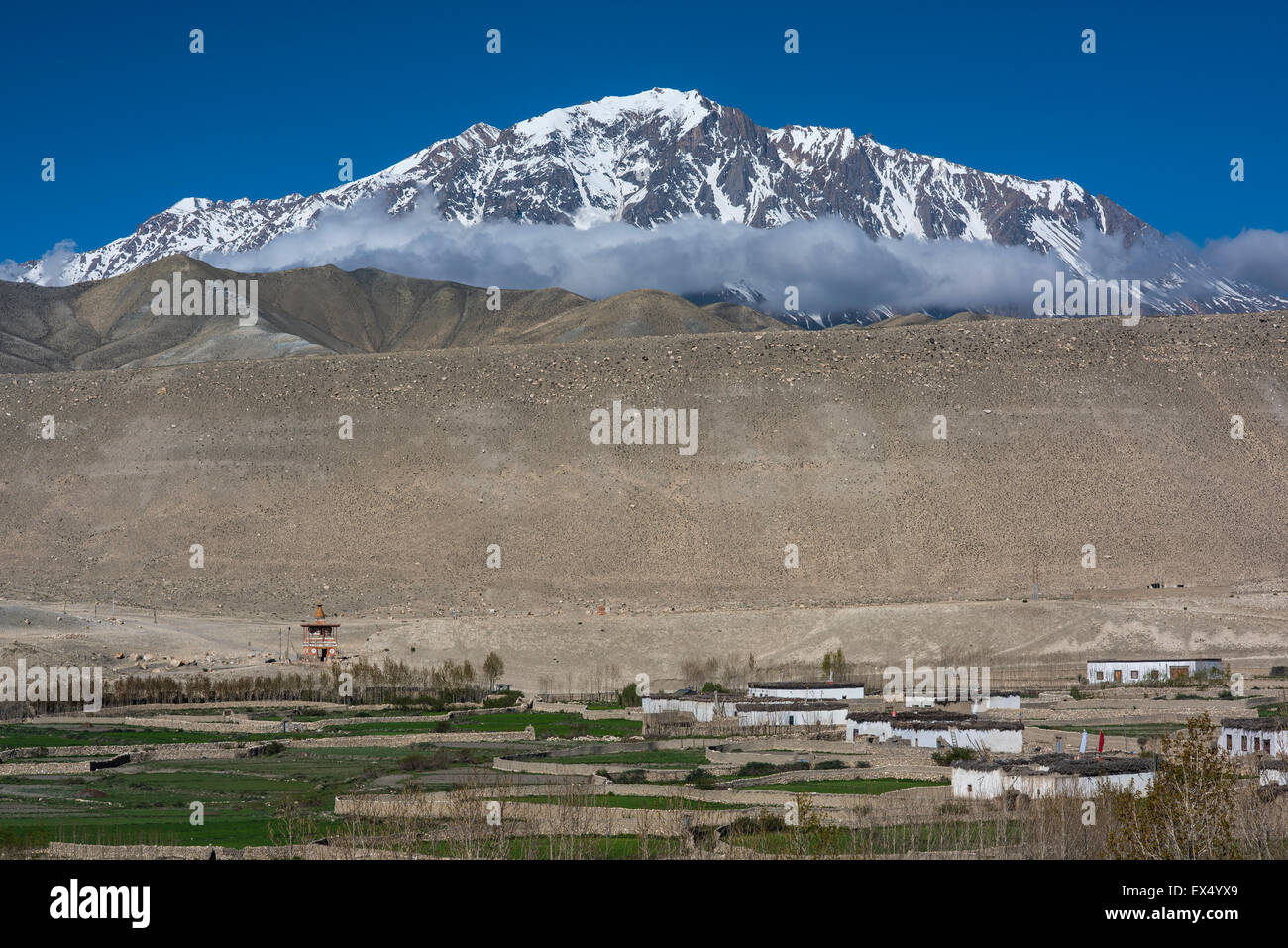 Small fields, surrounded by a stone wall and houses in the village of Tsarang against snowy mountains, former Kingdom of Mustang Stock Photo