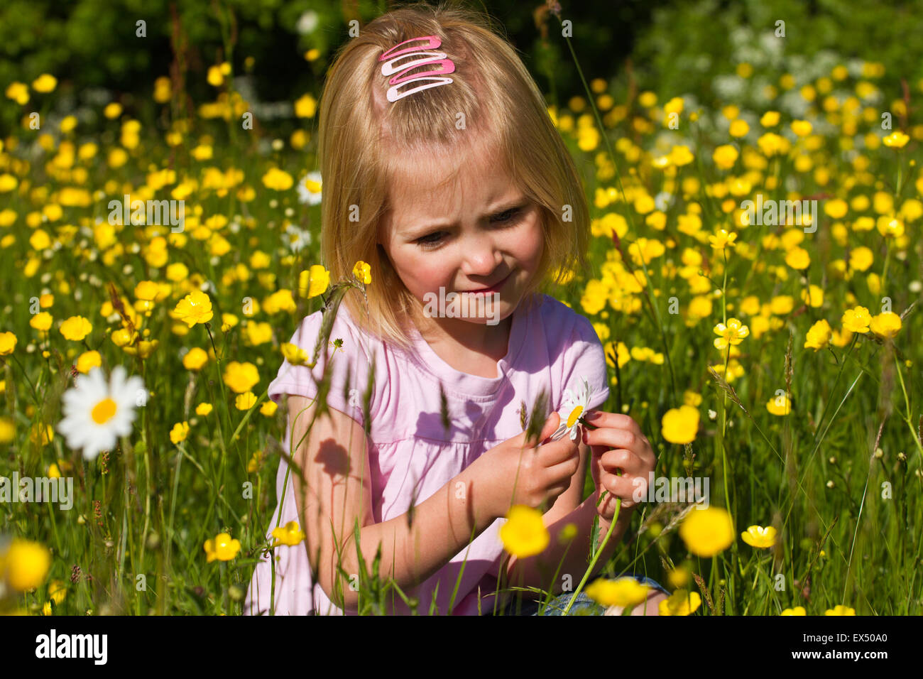 Child looking flower meadow hi-res stock photography and images - Alamy