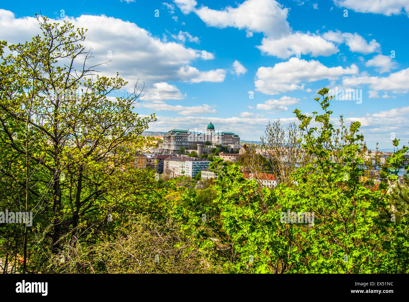 Buda Castle in Budapest Stock Photo - Alamy