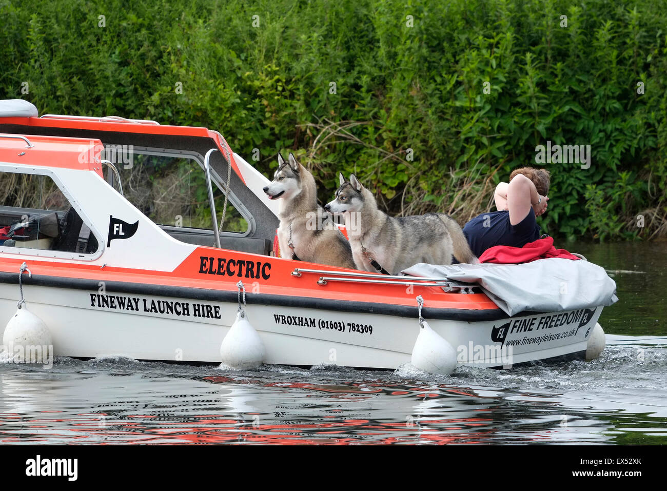 hire boat at coltishall, norfolk broads, england Stock Photo Alamy
