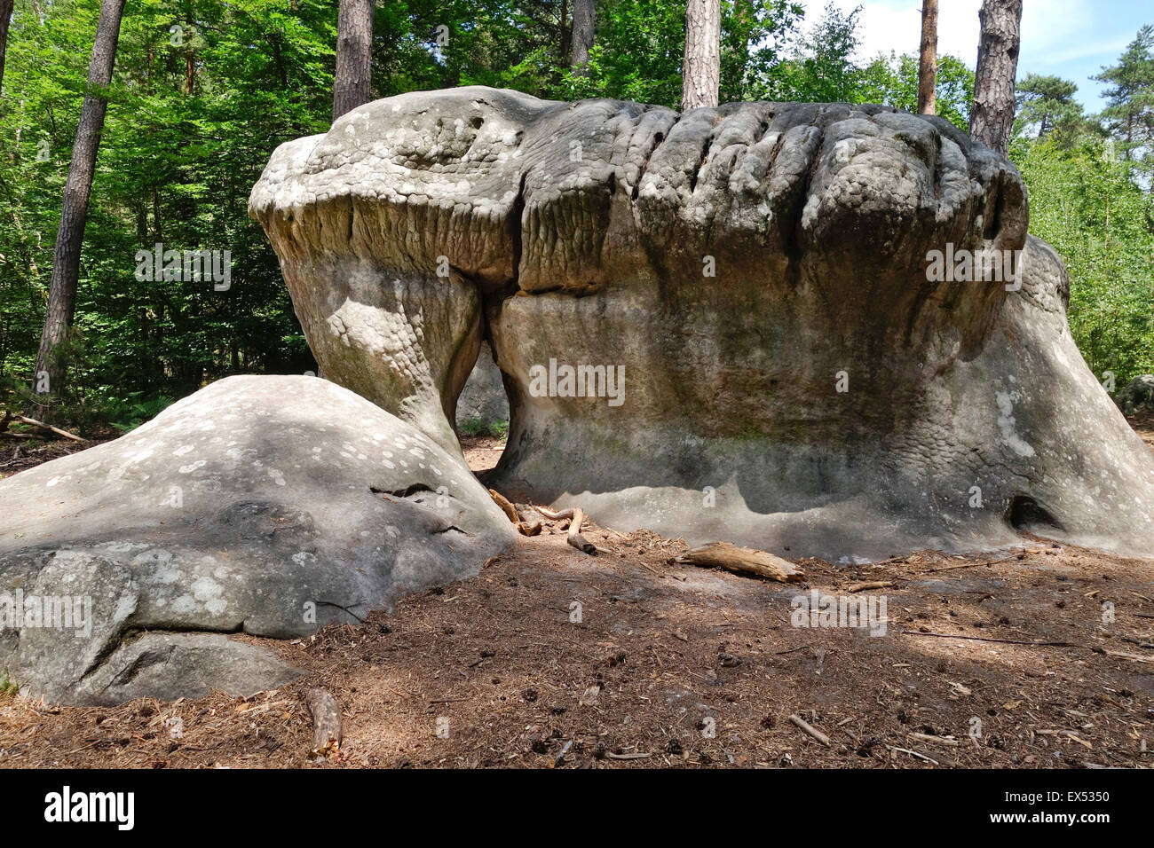 Fontainebleau boulder, bouldering, climbing, rock climbing, circuits in