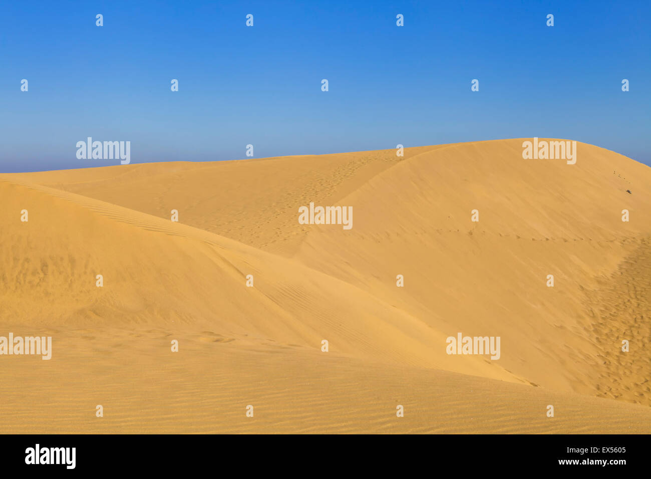 Sand dunes in Gran Canaria, Spain Stock Photo Alamy