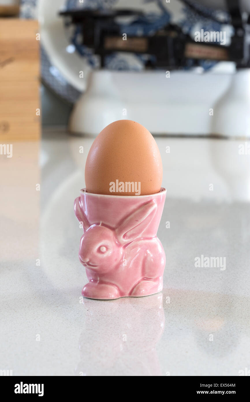 Boiled egg in rabbit hi-res stock photography and images - Alamy