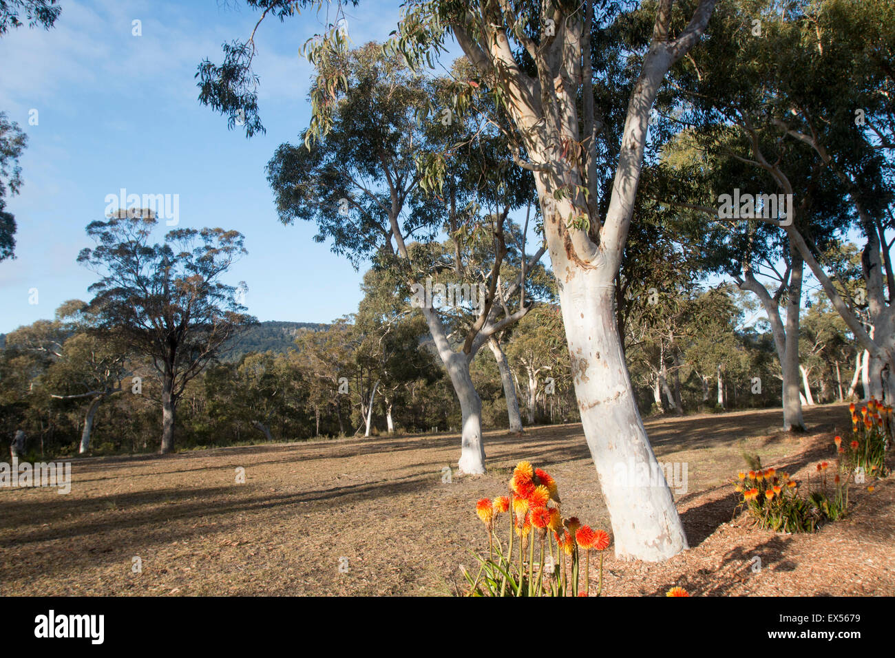 Farm Stay Holidays At Banksia Park Cottages In Kangaroo Valley New
