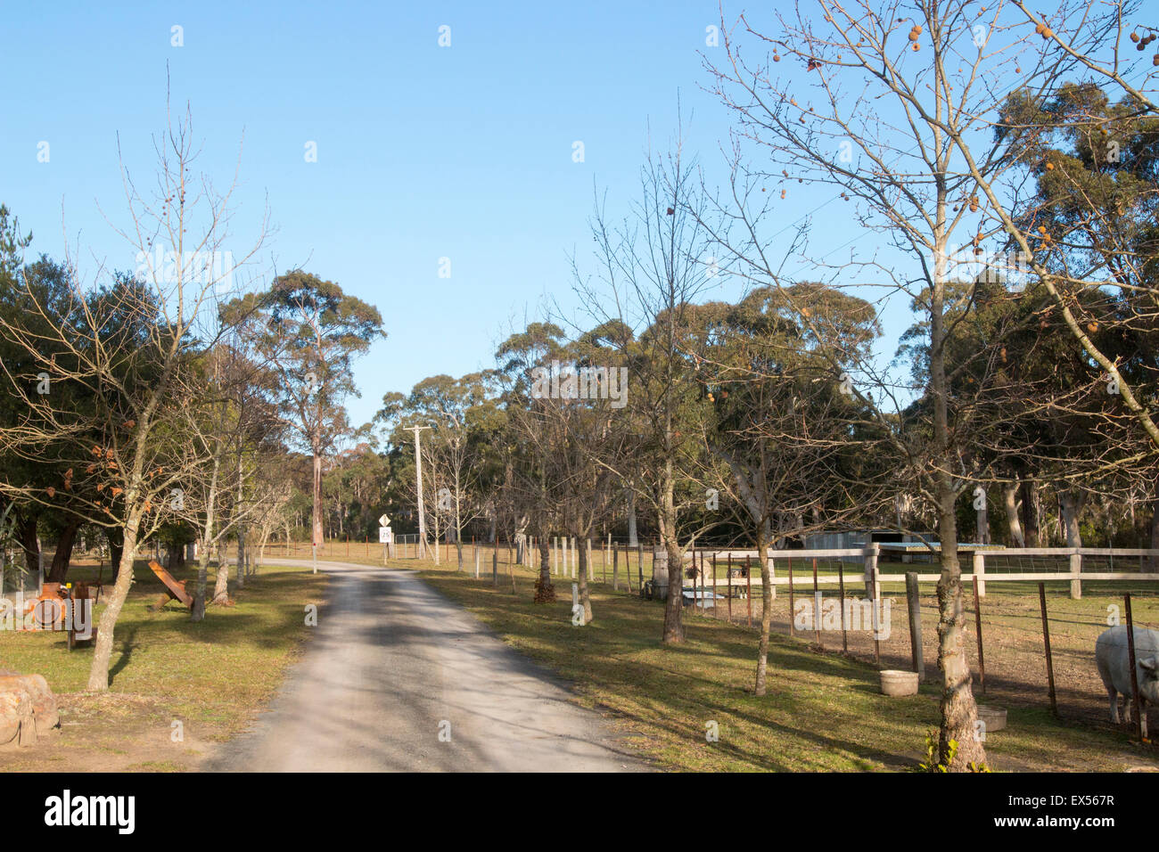 Farm Stay Holidays At Banksia Park Cottages In Kangaroo Valley New