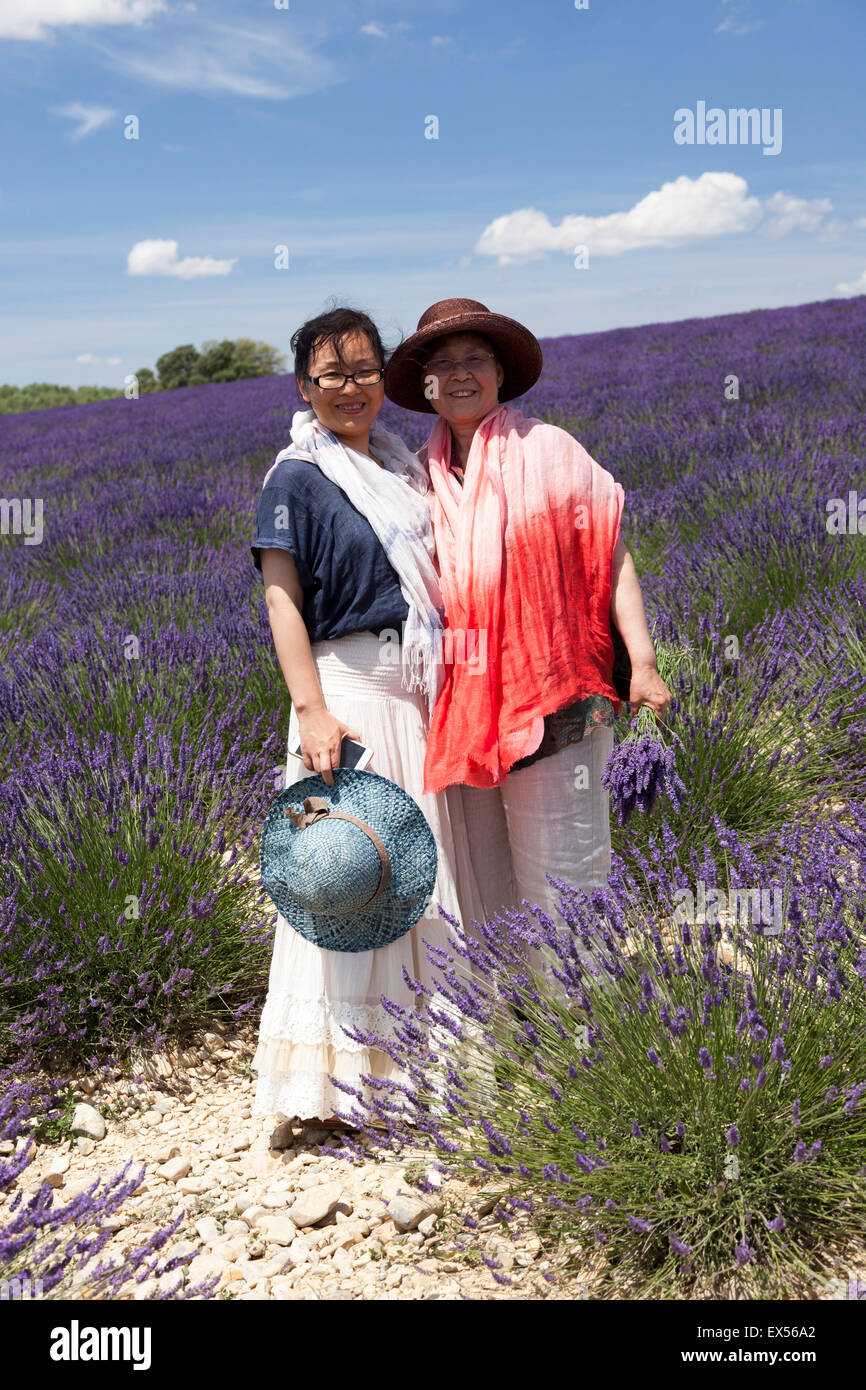 Two Chinese Ladies in a hybrid lavender field (Valensole - France). Touristes Chinoises dans un champ de lavandin (France). Stock Photo