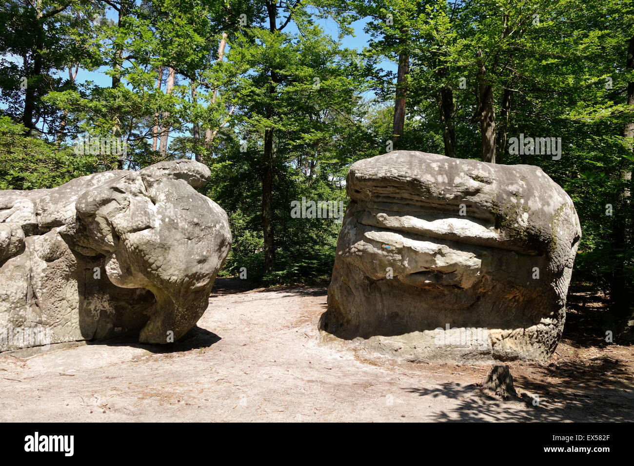 The Elephant, Fontainebleau boulder, bouldering, climbing, rock