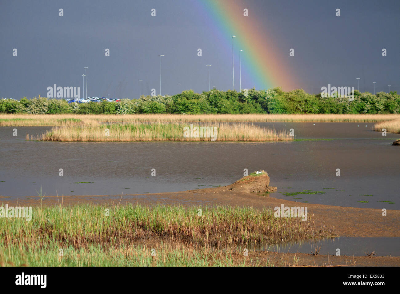 Rainbow over Immingham Biodiesel plant with Killingholme pits nature reserve in the foreground. Stock Photo