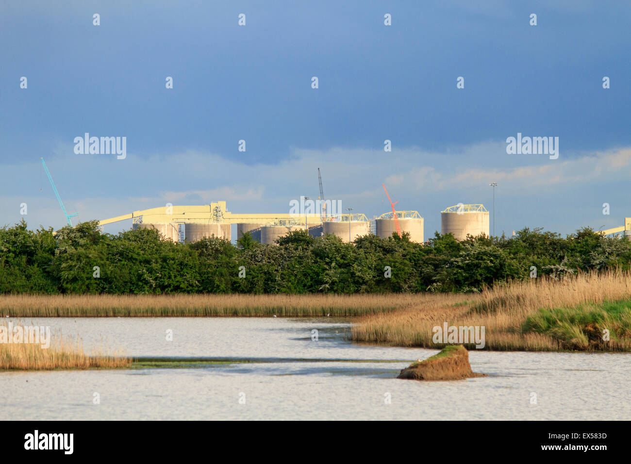 Immingham Biodiesel plant with Killingholme pits nature reserve in the foreground. Stock Photo