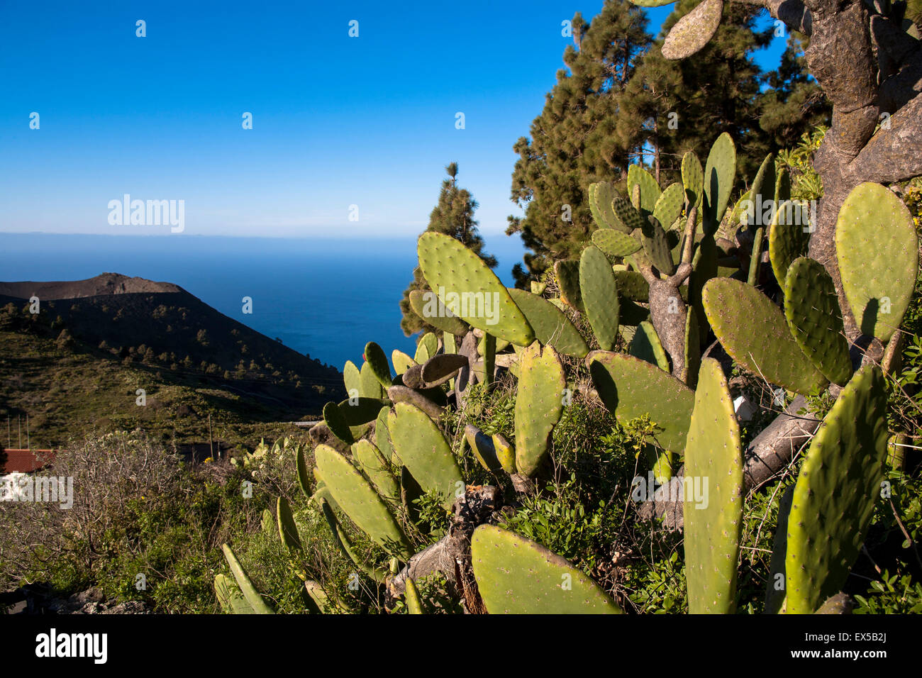 ESP, Spain, the Canary Islands, island of La Palma, the volcano San Antonio near Fuencaliente/Los Canarios at the southern tip o Stock Photo