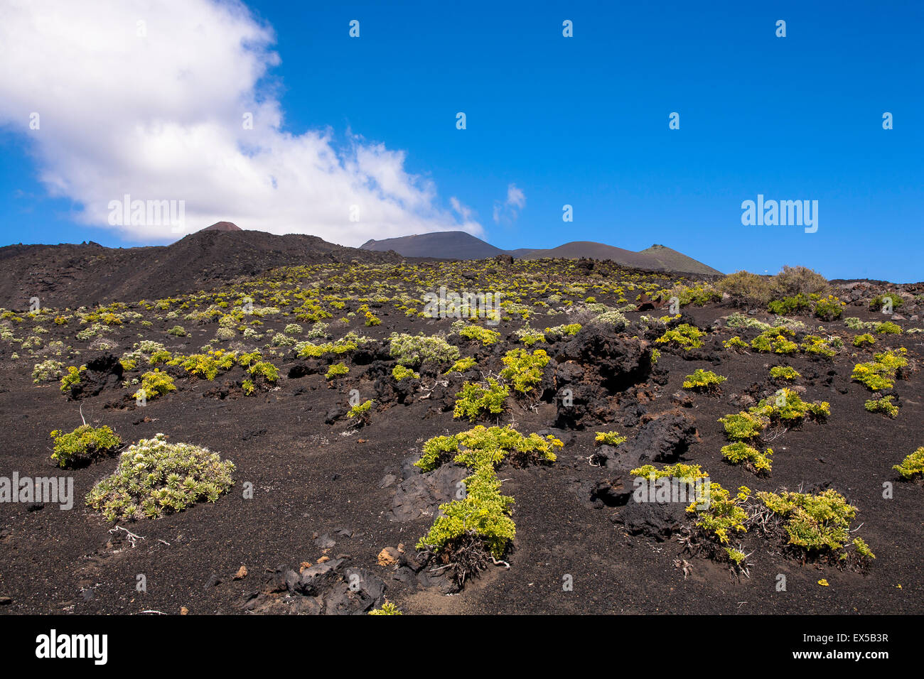ESP, Spain, the Canary Islands, island of La Palma, solidified lava of the volcano Teneguia at the coast near Fuencaliente.  ESP Stock Photo