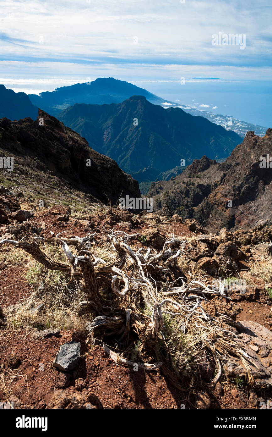 ESP, Spain, the Canary Islands, island of La Palma, national park Caldera de Taburiente, view from the Roque de los Muchachos in Stock Photo