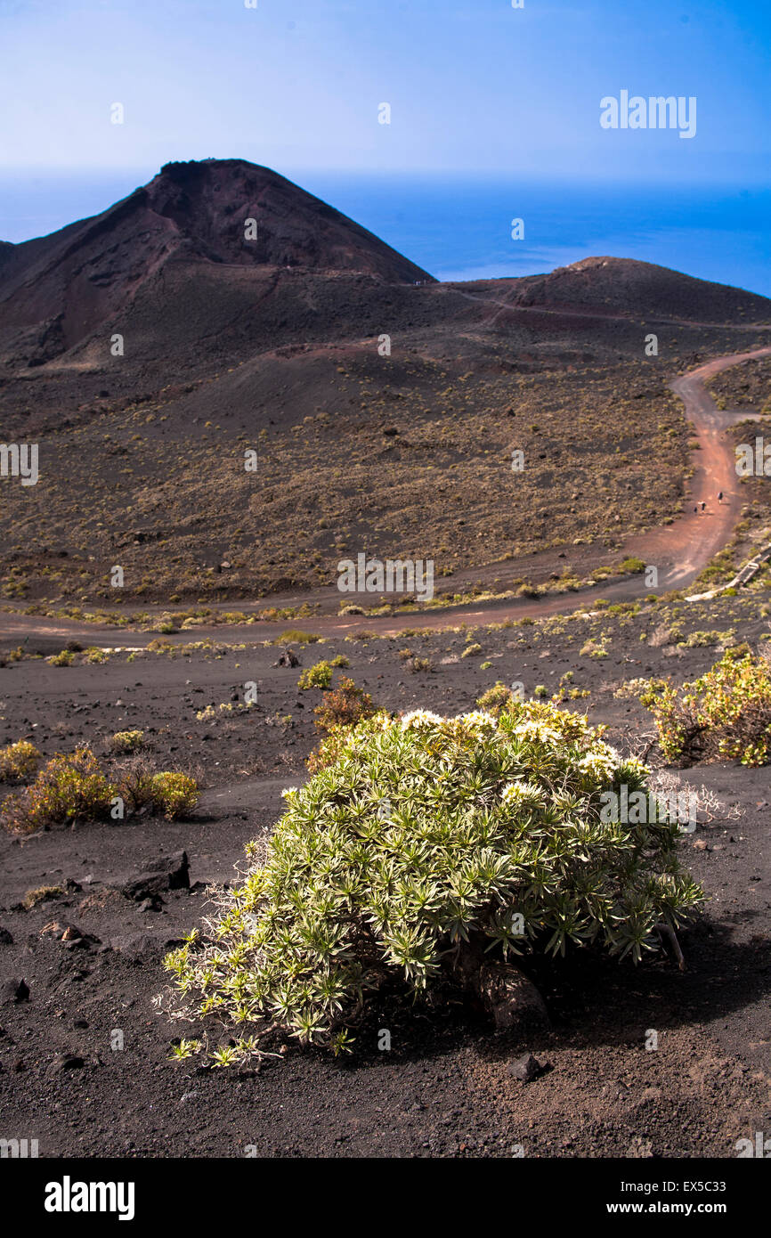 ESP, Spain, the Canary Islands, island of La Palma, the volcano Teneguia near Fuencaliente/Los Canarios at the southern tip of t Stock Photo