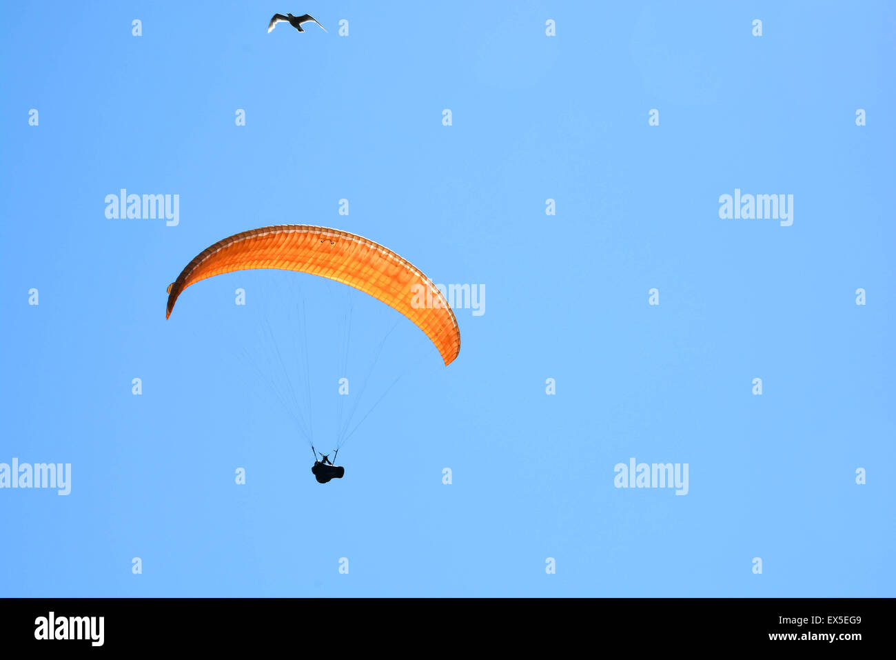 Hang glider in air hi res stock photography and images Alamy Hang glider in air hi res stock photography and images Alamy
