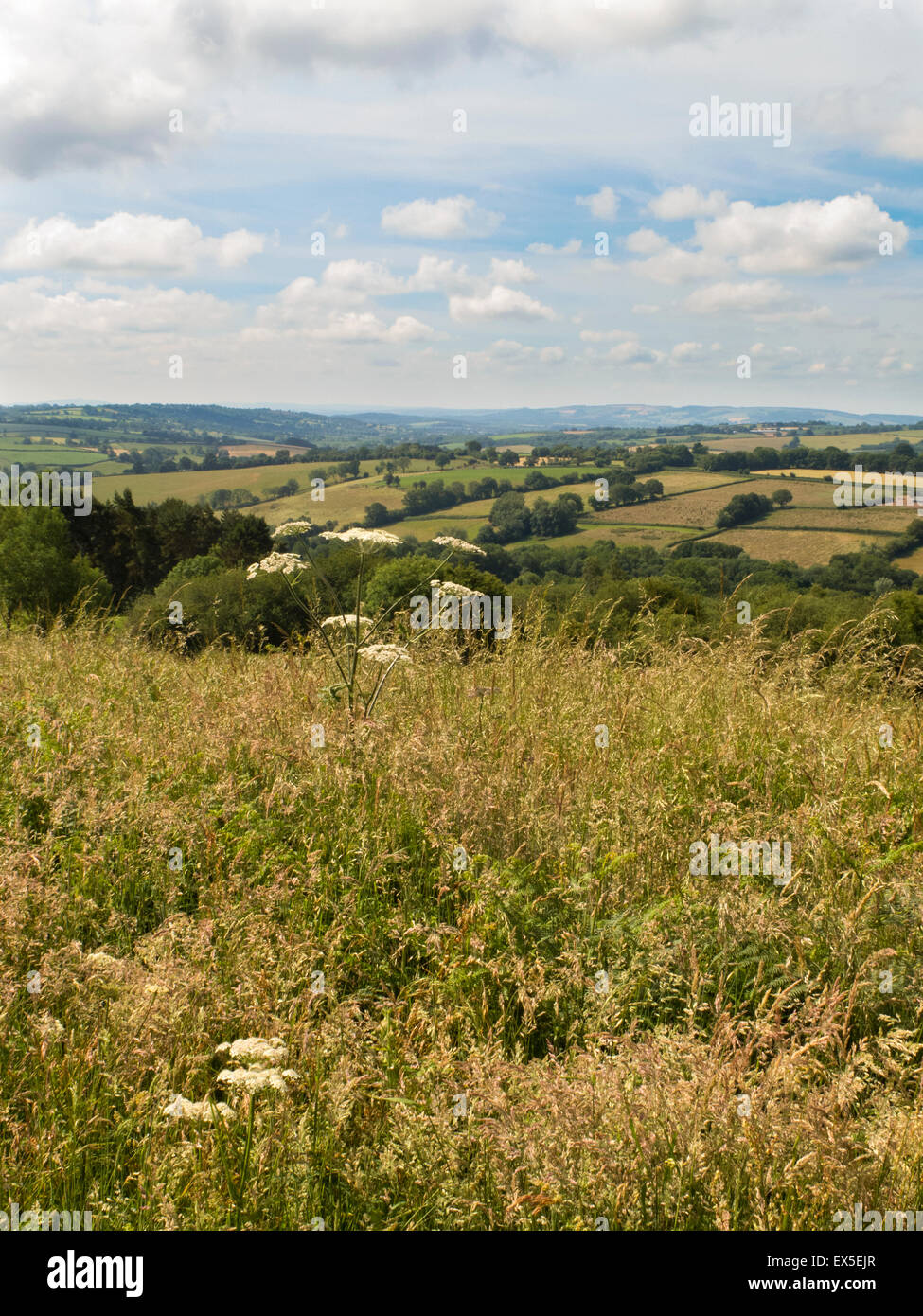 Bromyard Downs Herefordshire UK Stock Photo Alamy
