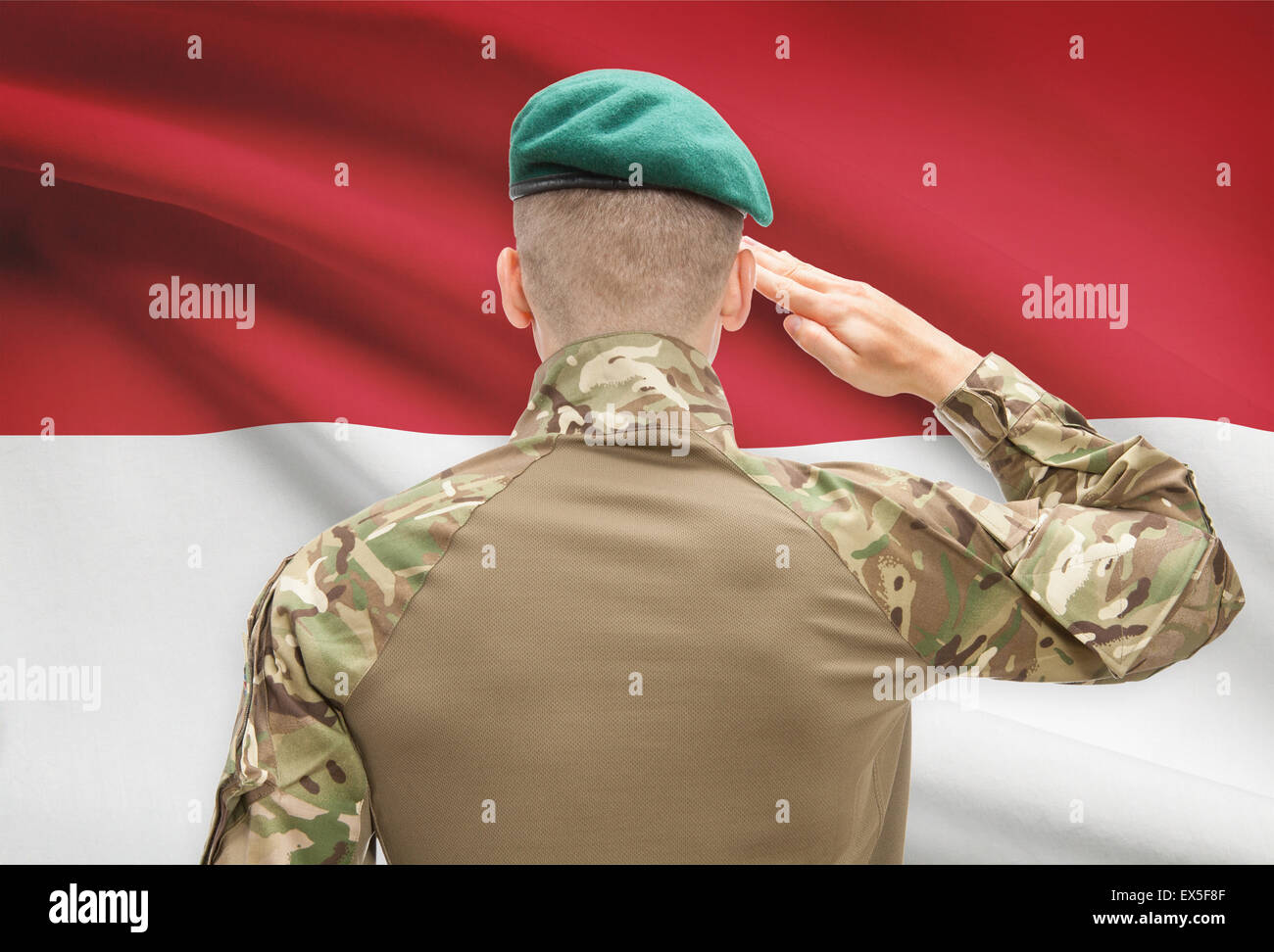 Soldier in hat facing national flag series - Indonesia Stock Photo - Alamy